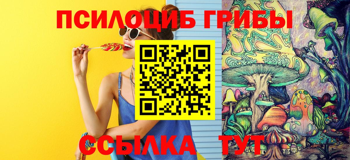 Псилоцибиновые грибы мицелий Киселёвск