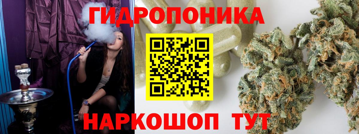 Канабис семена  Каннабис ГИДРОПОН  Вход с VPN  Киселёвск 
